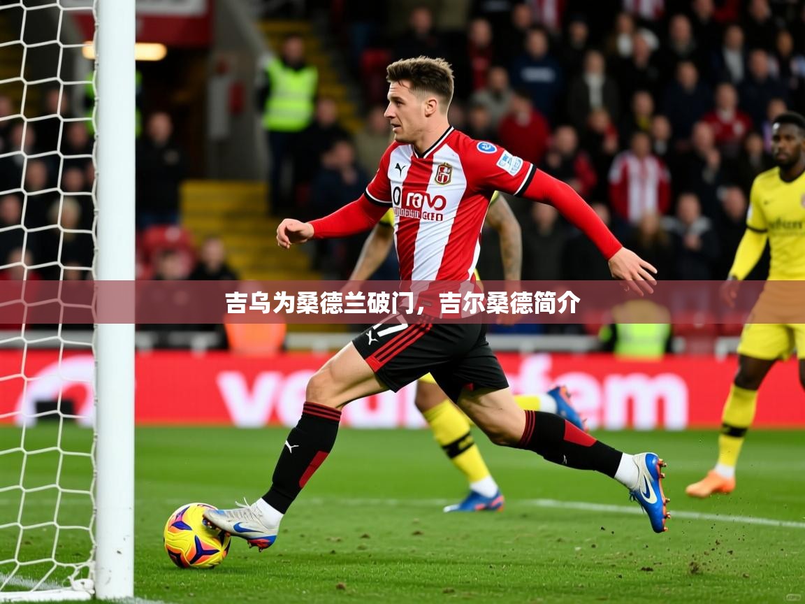 2025九游电子娱乐pg吉乌为桑德兰破门，吉尔桑德简介  第2张