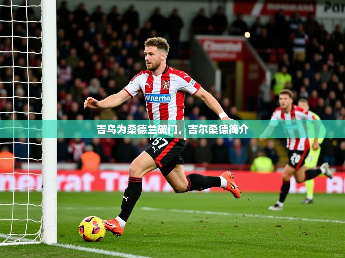 2025九游电子娱乐pg吉乌为桑德兰破门，吉尔桑德简介  第4张