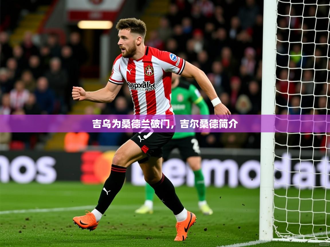 2025九游电子娱乐pg吉乌为桑德兰破门，吉尔桑德简介  第3张
